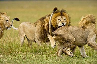 《暗黑破坏神4》开发人员超9000人 是初代的30多倍